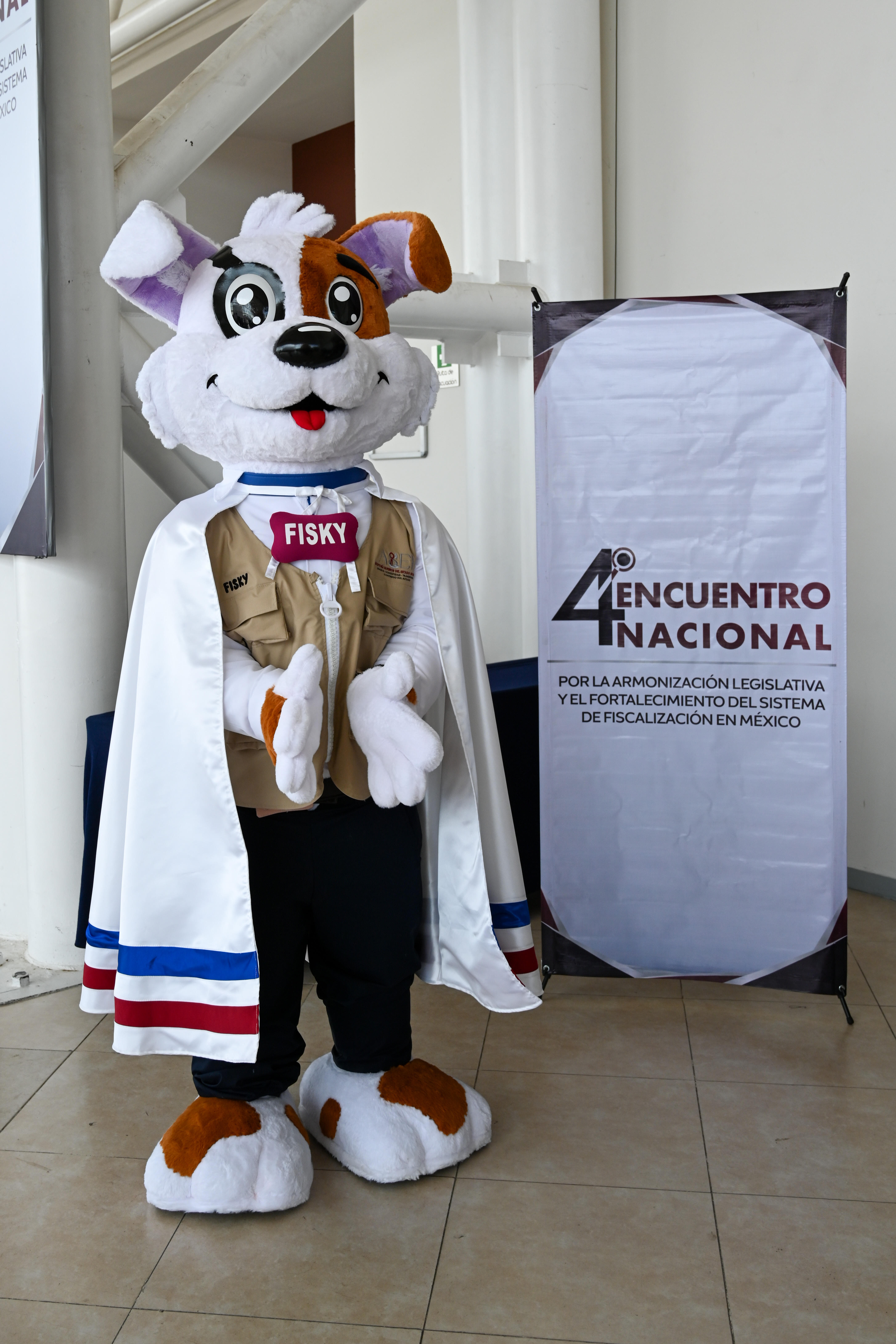 Imagen de galería